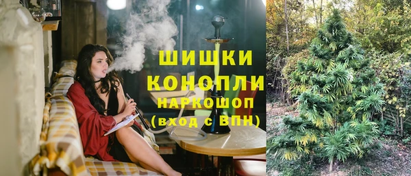 PSILOCYBIN Краснослободск