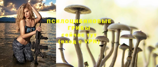 PSILOCYBIN Краснослободск